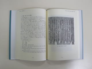 佛教文獻と文學　日臺共同ワークショップの記録　２００７